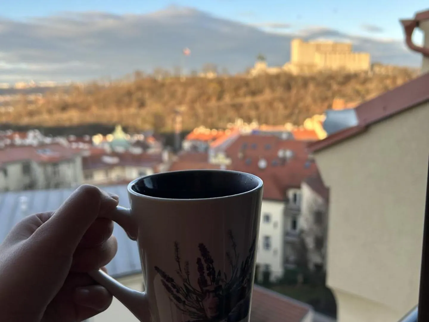Apartment Cimburkova Praha