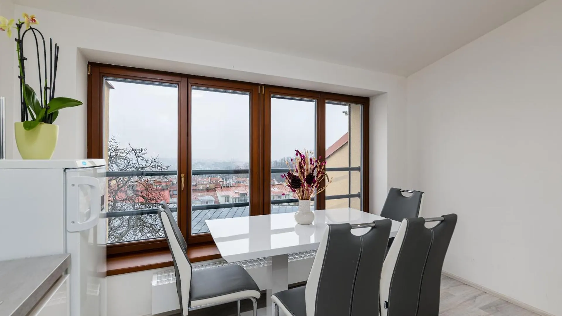Apartment Cimburkova Praha 0*,